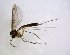  ( - TSZD-JKJ-102875)  @11 [ ] CreativeCommons - Attribution Non-Commercial Share-Alike (2017) Unspecified Tromsø University Museum