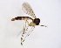  ( - TSZD-JKJ-102877)  @11 [ ] CreativeCommons - Attribution Non-Commercial Share-Alike (2017) Unspecified Tromsø University Museum