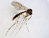  ( - TSZD-JKJ-102878)  @11 [ ] CreativeCommons - Attribution Non-Commercial Share-Alike (2017) Unspecified Tromsø University Museum