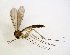  ( - TSZD-JKJ-102888)  @11 [ ] CreativeCommons - Attribution Non-Commercial Share-Alike (2017) Unspecified Tromsø University Museum
