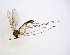  ( - TSZD-JKJ-102898)  @11 [ ] CreativeCommons - Attribution Non-Commercial Share-Alike (2017) Unspecified Tromsø University Museum
