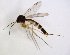  ( - TSZD-JKJ-102899)  @11 [ ] CreativeCommons - Attribution Non-Commercial Share-Alike (2017) Unspecified Tromsø University Museum