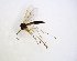  ( - TSZD-JKJ-102902)  @11 [ ] CreativeCommons - Attribution Non-Commercial Share-Alike (2017) Unspecified Tromsø University Museum