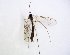  ( - TSZD-JKJ-102910)  @11 [ ] CreativeCommons - Attribution Non-Commercial Share-Alike (2017) Unspecified Tromsø University Museum