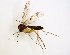  ( - TSZD-JKJ-102925)  @11 [ ] CreativeCommons - Attribution Non-Commercial Share-Alike (2017) Unspecified Tromsø University Museum