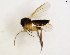  ( - TSZD-JKJ-102929)  @11 [ ] CreativeCommons - Attribution Non-Commercial Share-Alike (2017) Unspecified Tromsø University Museum
