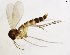 ( - TSZD-JKJ-102930)  @11 [ ] CreativeCommons - Attribution Non-Commercial Share-Alike (2017) Unspecified Tromsø University Museum