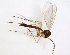  ( - TSZD-JKJ-102931)  @11 [ ] CreativeCommons - Attribution Non-Commercial Share-Alike (2017) Unspecified Tromsø University Museum