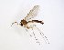  ( - TSZD-JKJ-102938)  @11 [ ] CreativeCommons - Attribution Non-Commercial Share-Alike (2017) Unspecified Tromsø University Museum