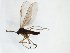 ( - TSZD-JKJ-102939)  @11 [ ] CreativeCommons - Attribution Non-Commercial Share-Alike (2017) Unspecified Tromsø University Museum