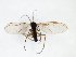  ( - TSZD-JKJ-102941)  @11 [ ] CreativeCommons - Attribution Non-Commercial Share-Alike (2017) Unspecified Tromsø University Museum