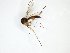  ( - TSZD-JKJ-102942)  @11 [ ] CreativeCommons - Attribution Non-Commercial Share-Alike (2017) Unspecified Tromsø University Museum