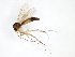  ( - TSZD-JKJ-102944)  @12 [ ] CreativeCommons - Attribution Non-Commercial Share-Alike (2017) Unspecified Tromsø University Museum
