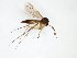  ( - TSZD-JKJ-102945)  @11 [ ] CreativeCommons - Attribution Non-Commercial Share-Alike (2017) Unspecified Tromsø University Museum