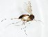  ( - TSZD-JKJ-102947)  @11 [ ] CreativeCommons - Attribution Non-Commercial Share-Alike (2017) Unspecified Tromsø University Museum