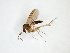  ( - TSZD-JKJ-102956)  @11 [ ] CreativeCommons - Attribution Non-Commercial Share-Alike (2017) Unspecified Tromsø University Museum