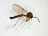  ( - TSZD-JKJ-102957)  @11 [ ] CreativeCommons - Attribution Non-Commercial Share-Alike (2017) Unspecified Tromsø University Museum
