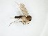  ( - TSZD-JKJ-102959)  @11 [ ] CreativeCommons - Attribution Non-Commercial Share-Alike (2017) Unspecified Tromsø University Museum
