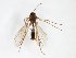  ( - TSZD-JKJ-102975)  @11 [ ] CreativeCommons - Attribution Non-Commercial Share-Alike (2017) Unspecified Tromsø University Museum