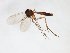  ( - TSZD-JKJ-102995)  @11 [ ] CreativeCommons - Attribution Non-Commercial Share-Alike (2017) Unspecified Tromsø University Museum
