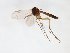  ( - TSZD-JKJ-102995)  @11 [ ] CreativeCommons - Attribution Non-Commercial Share-Alike (2017) Unspecified Tromsø University Museum
