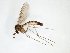  ( - TSZD-JKJ-102996)  @11 [ ] CreativeCommons - Attribution Non-Commercial Share-Alike (2017) Unspecified Tromsø University Museum