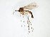  ( - TSZD-JKJ-102997)  @11 [ ] CreativeCommons - Attribution Non-Commercial Share-Alike (2017) Unspecified Tromsø University Museum