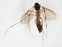  ( - TSZD-JKJ-102999)  @11 [ ] CreativeCommons - Attribution Non-Commercial Share-Alike (2017) Unspecified Tromsø University Museum