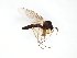  ( - TSZD-JKJ-103022)  @13 [ ] CreativeCommons - Attribution Non-Commercial Share-Alike (2017) Unspecified Tromsø University Museum