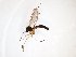  ( - TSZD-JKJ-103037)  @11 [ ] CreativeCommons - Attribution Non-Commercial Share-Alike (2017) Unspecified Tromsø University Museum