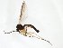  ( - TSZD-JKJ-103043)  @13 [ ] CreativeCommons - Attribution Non-Commercial Share-Alike (2017) Unspecified Tromsø University Museum