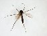  ( - TSZD-JKJ-103047)  @11 [ ] CreativeCommons - Attribution Non-Commercial Share-Alike (2017) Unspecified Tromsø University Museum