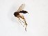  ( - TSZD-JKJ-103050)  @11 [ ] CreativeCommons - Attribution Non-Commercial Share-Alike (2017) Unspecified Tromsø University Museum