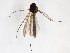  ( - TSZD-JKJ-103052)  @11 [ ] CreativeCommons - Attribution Non-Commercial Share-Alike (2017) Unspecified Tromsø University Museum