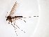  ( - TSZD-JKJ-103061)  @13 [ ] CreativeCommons - Attribution Non-Commercial Share-Alike (2017) Unspecified Tromsø University Museum