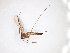  ( - TSZD-JKJ-103074)  @11 [ ] CreativeCommons - Attribution Non-Commercial Share-Alike (2017) Unspecified Tromsø University Museum