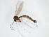  ( - TSZD-JKJ-103090)  @11 [ ] CreativeCommons - Attribution Non-Commercial Share-Alike (2017) Unspecified Tromsø University Museum
