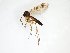  ( - TSZD-JKJ-103097)  @11 [ ] CreativeCommons - Attribution Non-Commercial Share-Alike (2017) Unspecified Tromsø University Museum