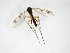  ( - TSZD-JKJ-103098)  @11 [ ] CreativeCommons - Attribution Non-Commercial Share-Alike (2017) Unspecified Tromsø University Museum
