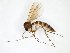  ( - TSZD-JKJ-103118)  @11 [ ] CreativeCommons - Attribution Non-Commercial Share-Alike (2017) Unspecified Tromsø University Museum