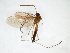  ( - TSZD-JKJ-103121)  @11 [ ] CreativeCommons - Attribution Non-Commercial Share-Alike (2017) Unspecified Tromsø University Museum