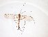  ( - TSZD-JKJ-103122)  @11 [ ] CreativeCommons - Attribution Non-Commercial Share-Alike (2017) Unspecified Tromsø University Museum