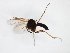  ( - TSZD-JKJ-103151)  @11 [ ] CreativeCommons - Attribution Non-Commercial Share-Alike (2017) Unspecified Tromsø University Museum