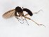  ( - TSZD-JKJ-103152)  @11 [ ] CreativeCommons - Attribution Non-Commercial Share-Alike (2017) Unspecified Tromsø University Museum