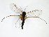  ( - TSZD-JKJ-103156)  @11 [ ] CreativeCommons - Attribution Non-Commercial Share-Alike (2017) Unspecified Tromsø University Museum