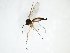  ( - TSZD-JKJ-103157)  @12 [ ] CreativeCommons - Attribution Non-Commercial Share-Alike (2017) Unspecified Tromsø University Museum