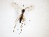  ( - TSZD-JKJ-103160)  @11 [ ] CreativeCommons - Attribution Non-Commercial Share-Alike (2017) Unspecified Tromsø University Museum