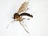  ( - TSZD-JKJ-103172)  @11 [ ] CreativeCommons - Attribution Non-Commercial Share-Alike (2017) Unspecified Tromsø University Museum