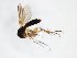  ( - TSZD-JKJ-103207)  @12 [ ] CreativeCommons - Attribution Non-Commercial Share-Alike (2017) Unspecified Tromsø University Museum