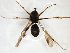  ( - TSZD-JKJ-103212)  @11 [ ] CreativeCommons - Attribution Non-Commercial Share-Alike (2017) Unspecified Tromsø University Museum